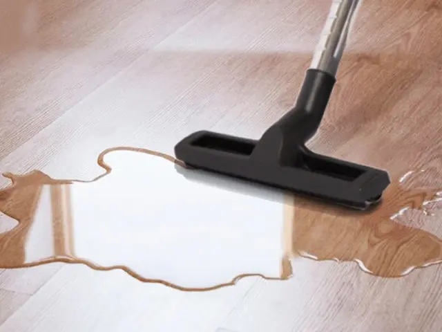 Пылесос DAEWOO DAVC 2516S